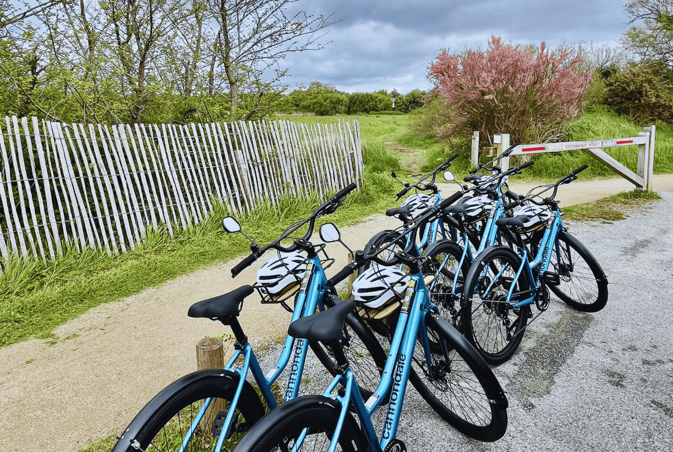 N'BIKE RENTAL — Ploemeur